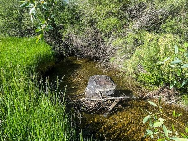 TBD Trumpeter Road, SWAN VALLEY, ID 83449