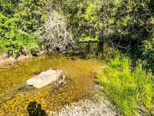 TBD Trumpeter Road, SWAN VALLEY, ID 83449