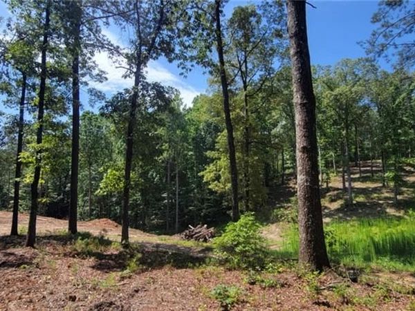 64 Beacon Place, Dallas, GA 30132