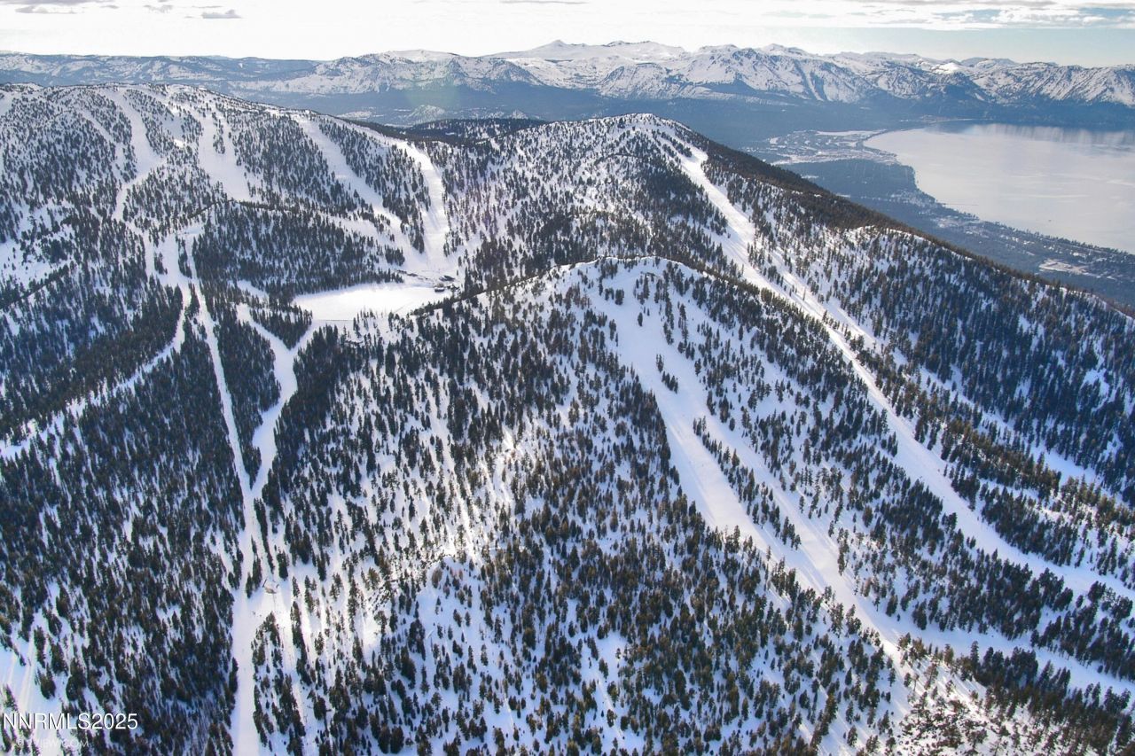 313 Tramway Drive, Unit 20, Stateline, NV 89449 Photo