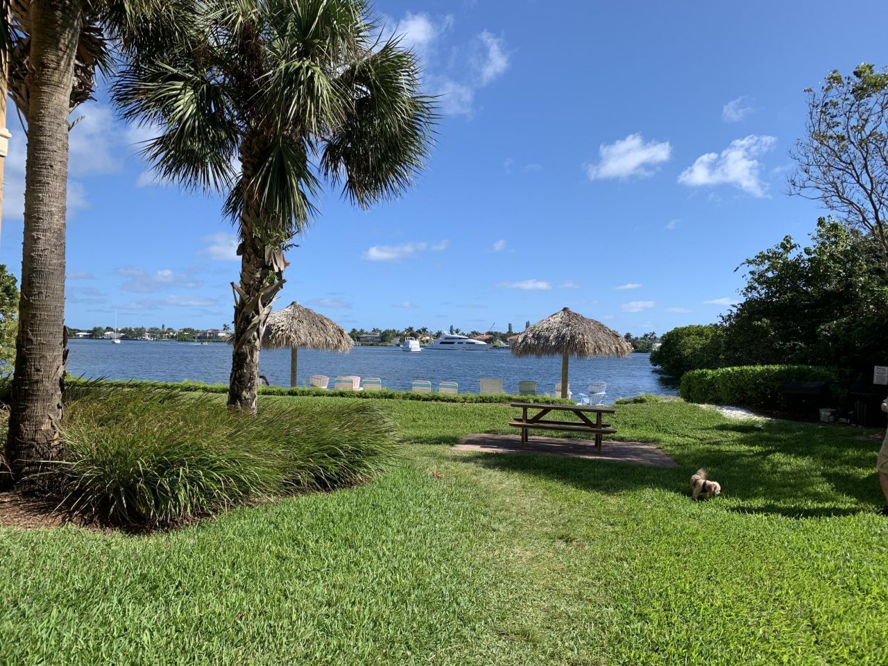 700 Scotia Drive, Unit 303, Hypoluxo, FL 33462 Photo