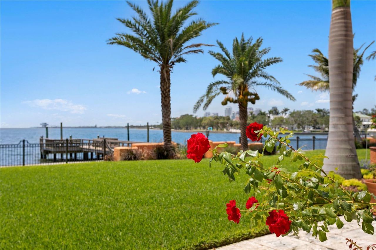 501 Brightwaters Boulevard Ne, Saint Petersburg, FL 33704 Photo