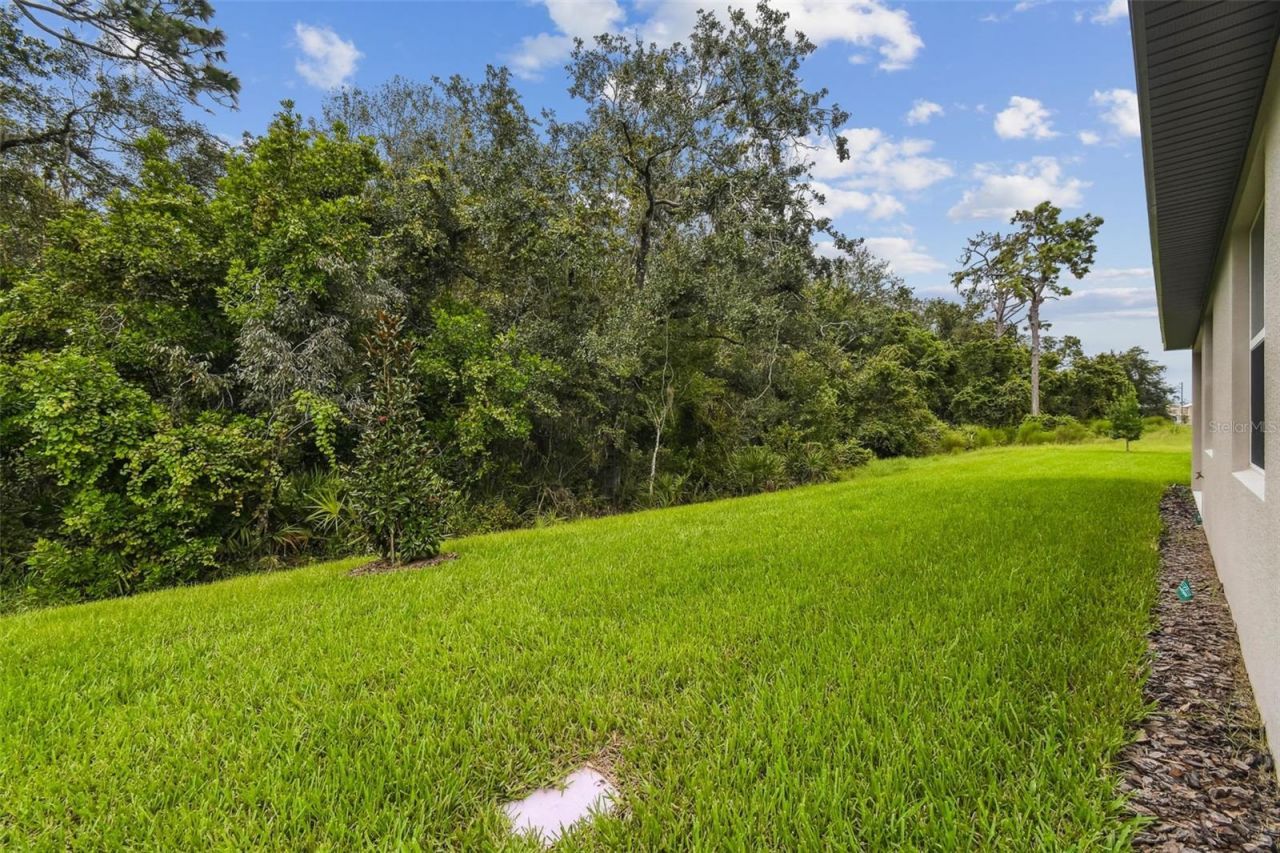 11303 Striped Bass Court, New Port Richey, FL 34654 Photo