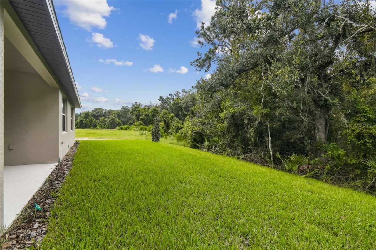 11303 Striped Bass Court, New Port Richey, FL 34654 Photo