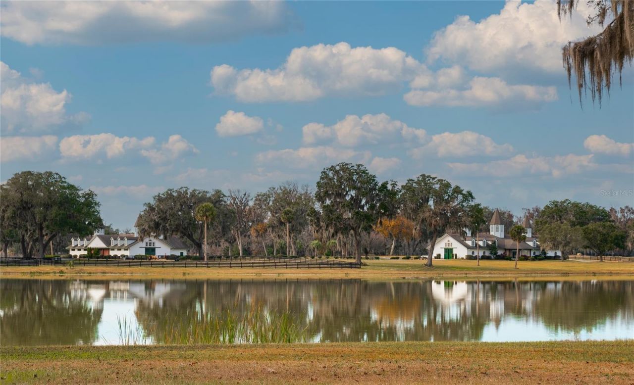 Tbd SE 157th Street Rd, Summerfield, FL 34491 Photo