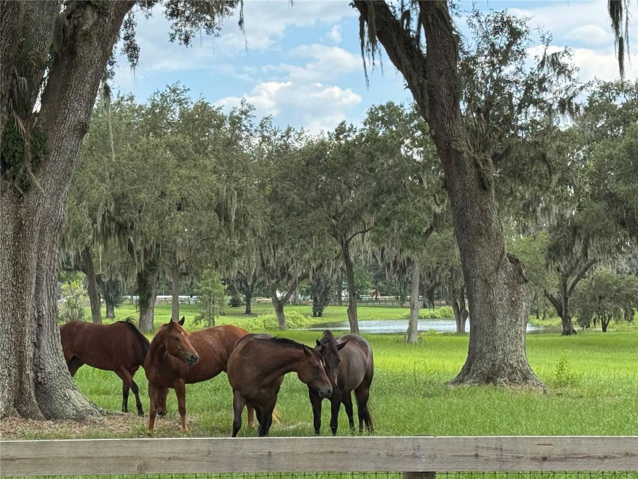 Tbd SE 157th Street Rd, Summerfield, FL 34491 Photo