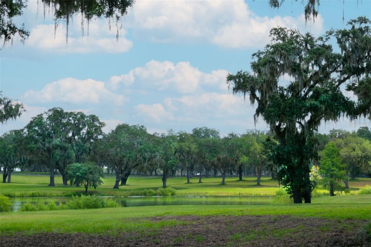 Tbd SE 157th Street Rd, Summerfield, FL 34491 Photo