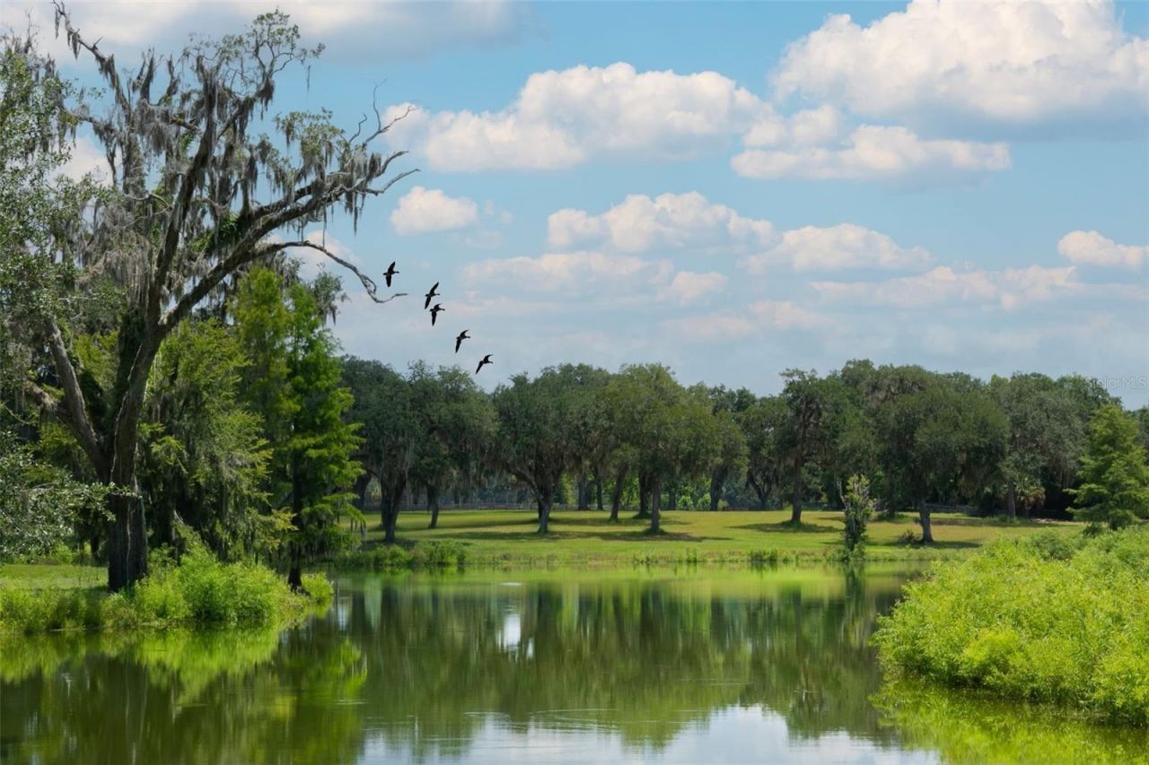 Tbd SE 157th Street Rd, Summerfield, FL 34491 Photo