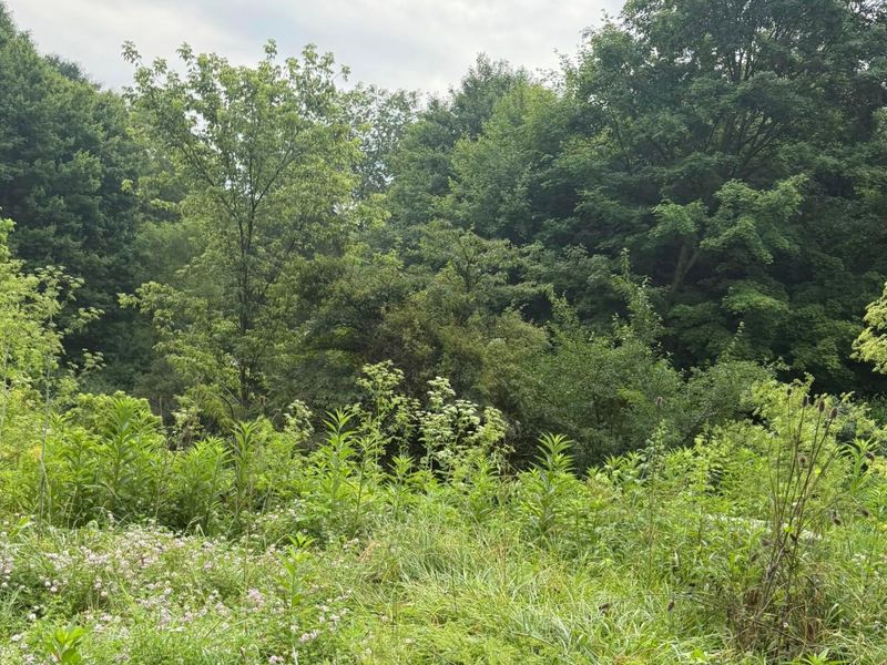 2100 Apple Valley Drive, Unit Lot #63, Howard, OH 43028 Photo 2