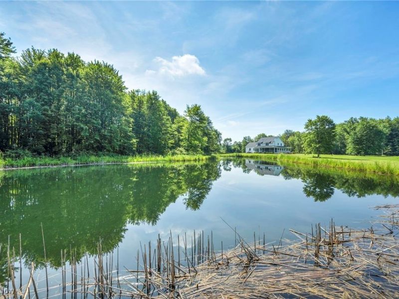 5113 Boughner Road, Rock Creek, OH 44084 Photo 42