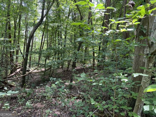 0 Lavender Trail, Rome, GA 30165