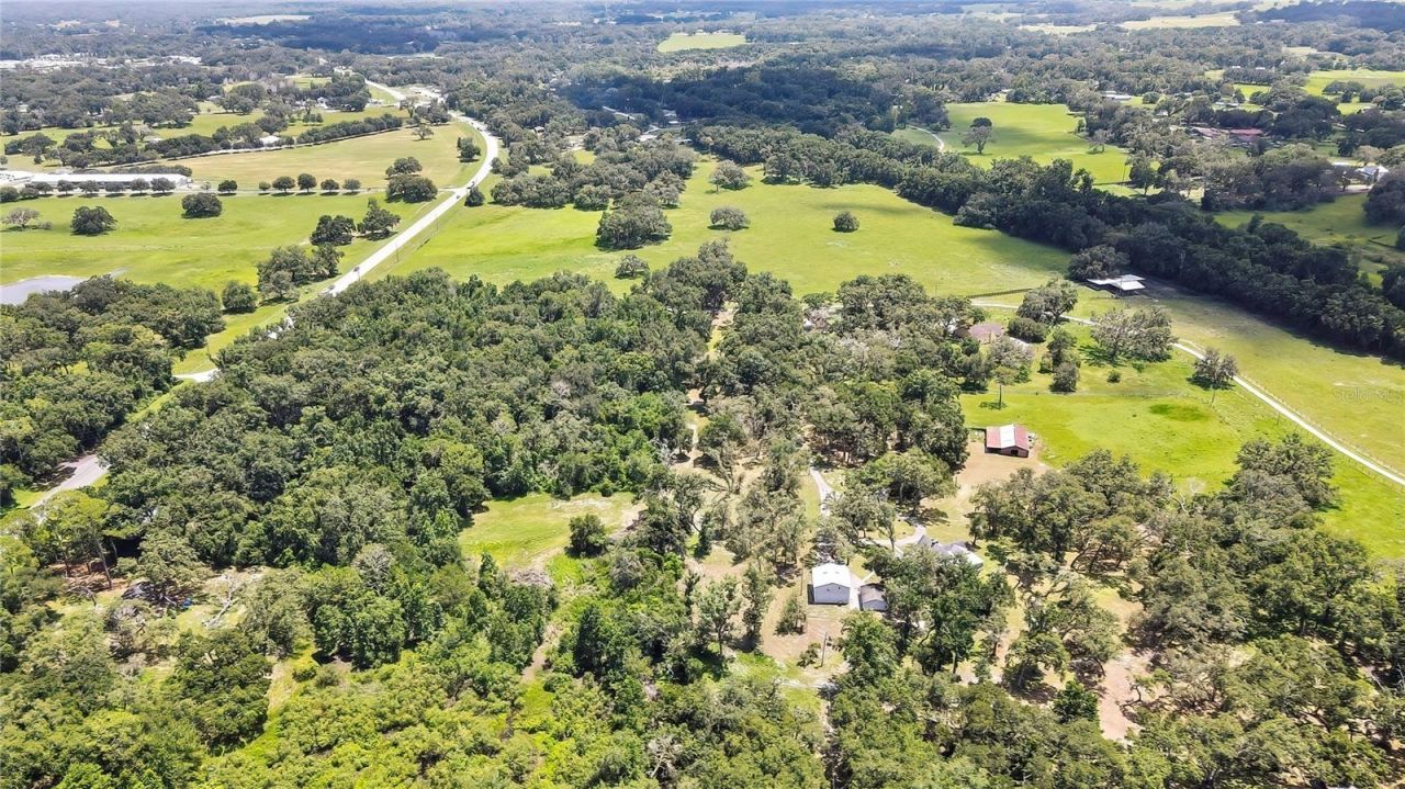 21451 Us Highway 98, Dade City, FL 33523 Photo