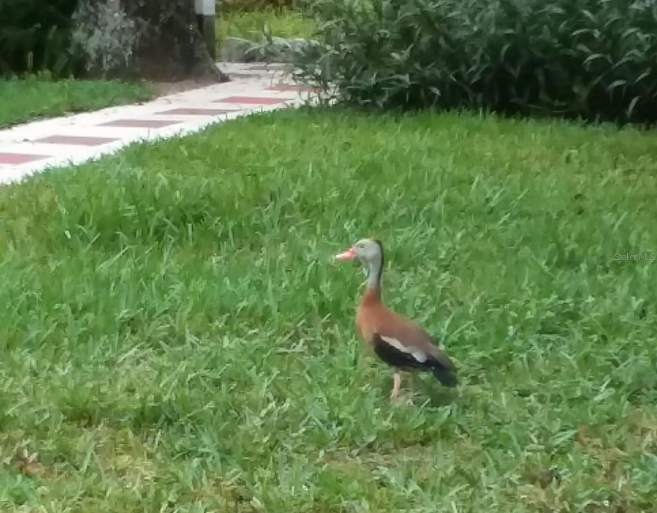 21451 Us Highway 98, Dade City, FL 33523 Photo