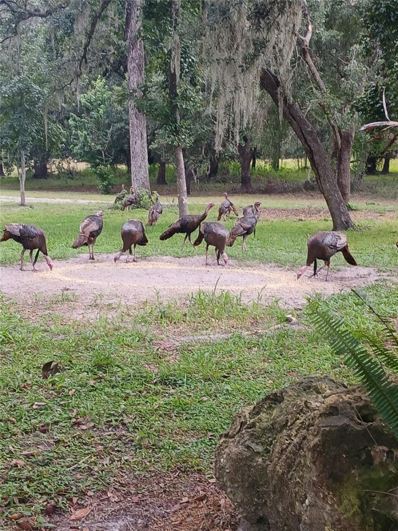 21451 Us Highway 98, Dade City, FL 33523 Photo