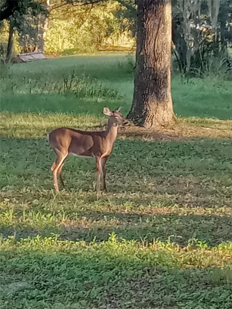 21451 Us Highway 98, Dade City, FL 33523 Photo