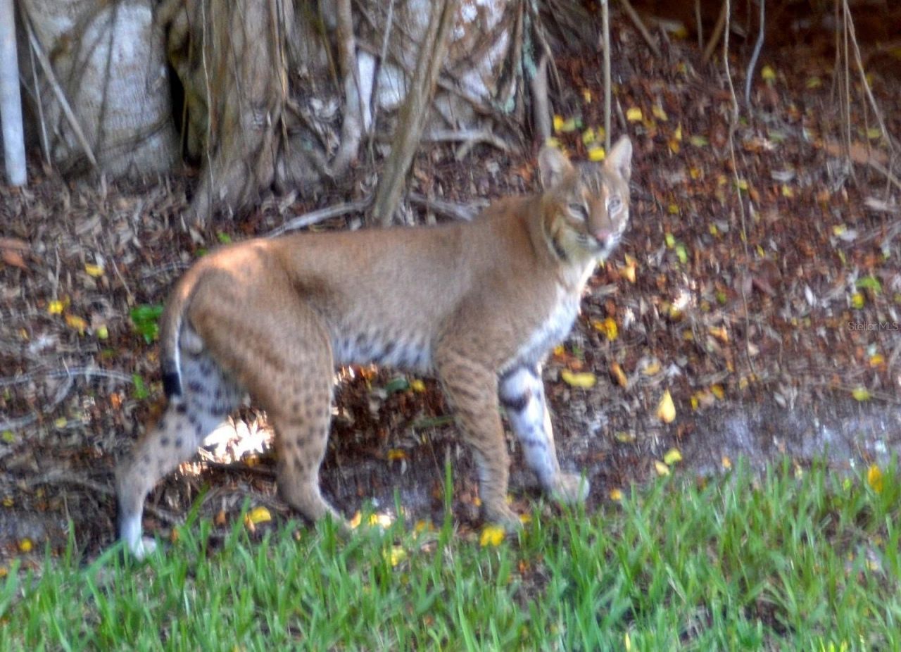 21451 Us Highway 98, Dade City, FL 33523 Photo