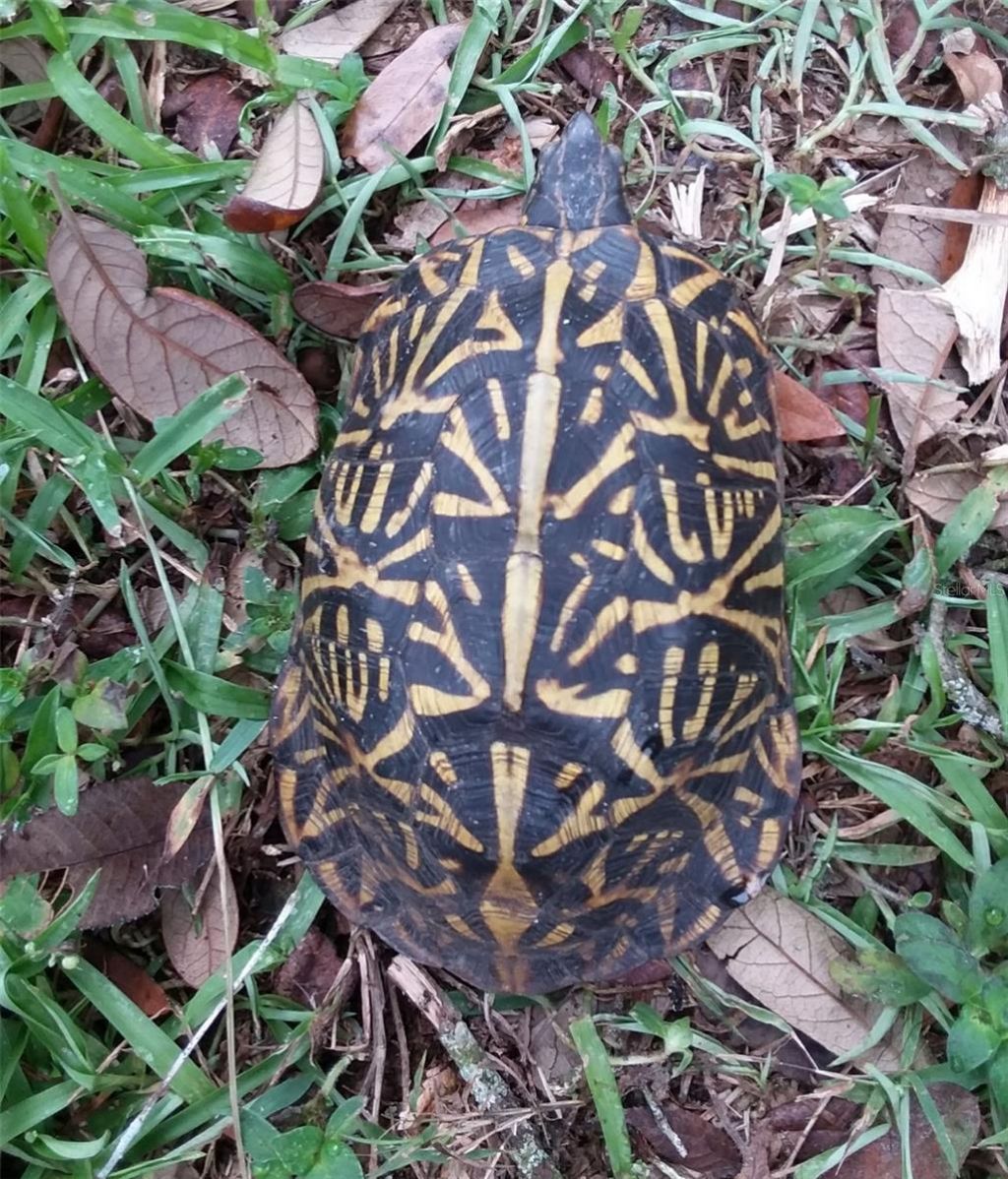 21451 Us Highway 98, Dade City, FL 33523 Photo