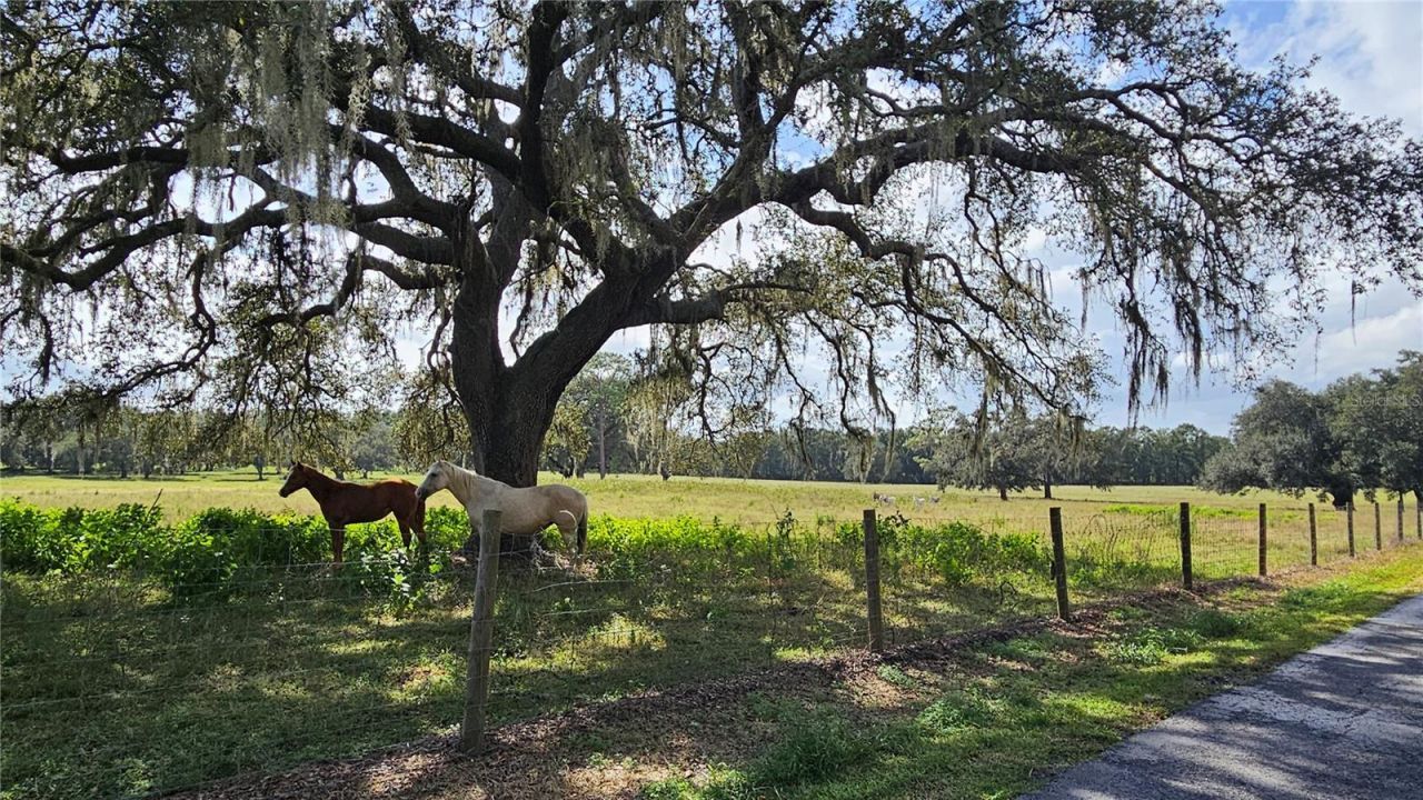 21451 Us Highway 98, Dade City, FL 33523 Photo