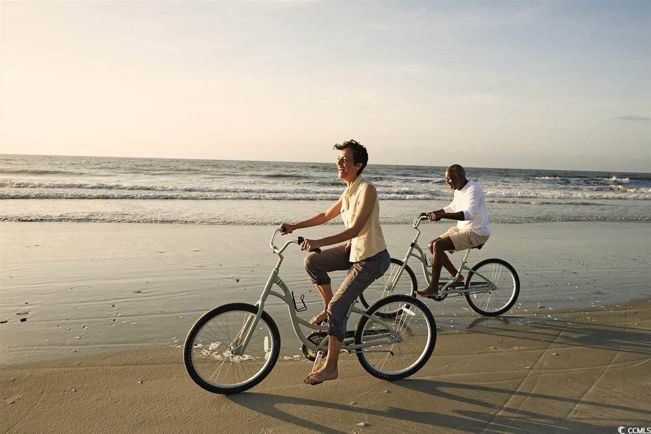 219 Atlantic Breeze St. Photo 27