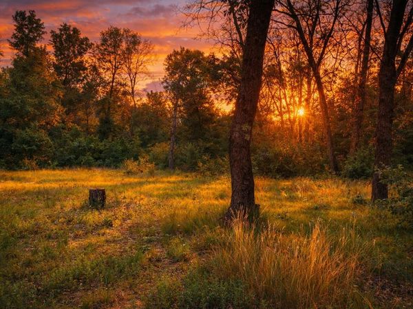 102 E Peoria Avenue, Idlewild, MI 49642