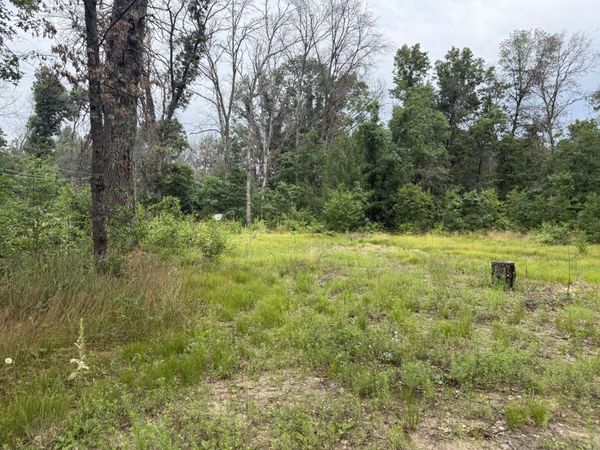 102 E Peoria Avenue, Idlewild, MI 49642