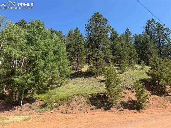 281 Pikes Peak Drive, Divide, CO 80814