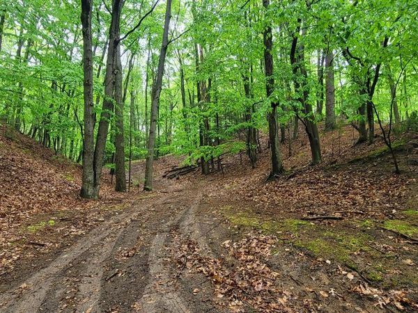 Avenue D, Pentwater, MI 49449