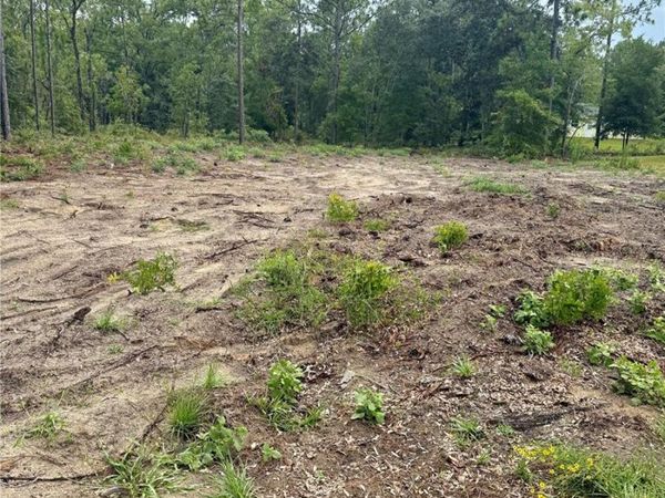 TBD NE 151ST TERRACE, WILLISTON, FL 32696