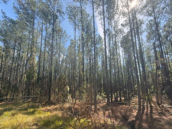 TBD NE 22ND LN, Other, FL 32640