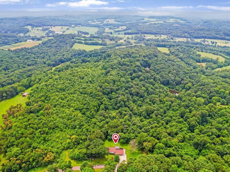 6063 Pleasant Chapel Road, Newark, OH 43056 Photo 58