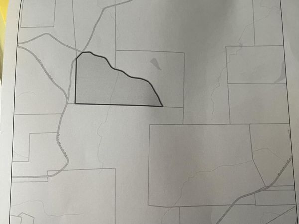 00 Dan Head Road, Pocahontas, TN 38061