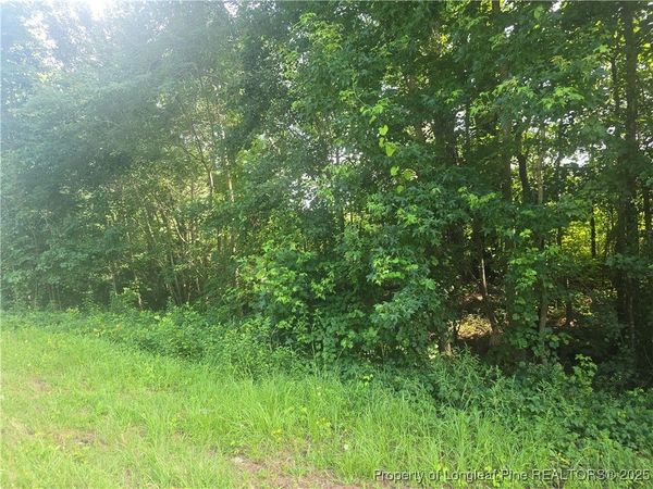 Rockfish Road, Raeford, NC 28376