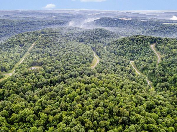 Lot 82 Whitewater Parkway, Bruceton Mills, WV 26525