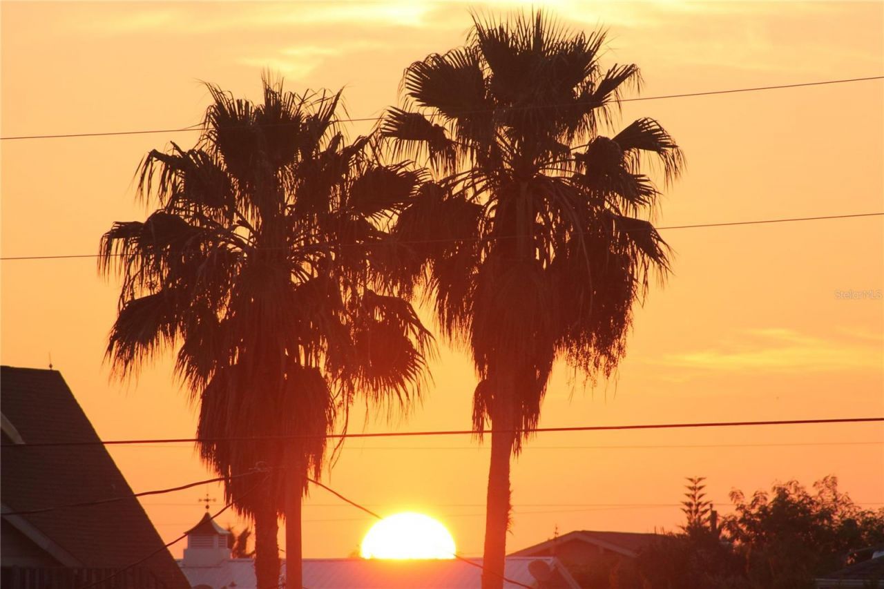 3342 Turks Cap Drive, Hernando Beach, FL 34607 Photo