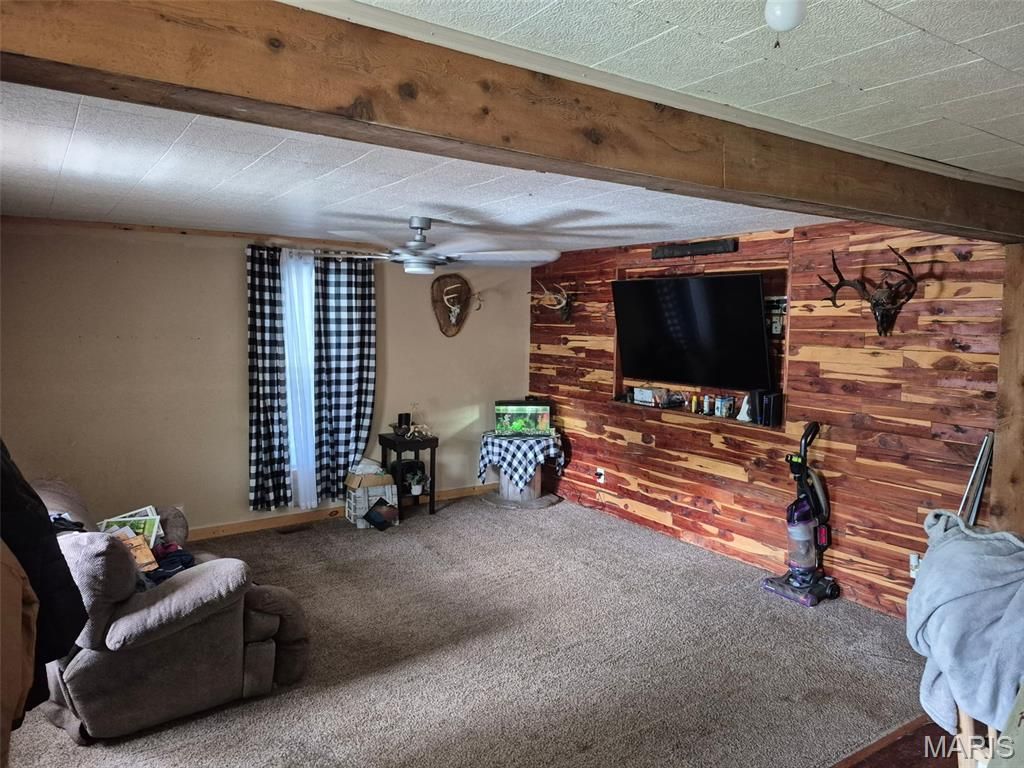 111 S College Street, Arcadia, MO 63621 Main Photo