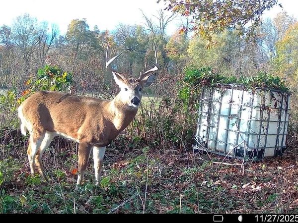 00 copeland rd, Crawfordsville, AR 72327