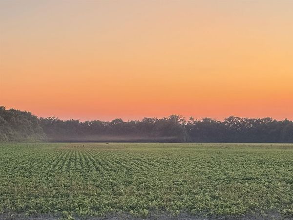 00 copeland rd, Crawfordsville, AR 72327