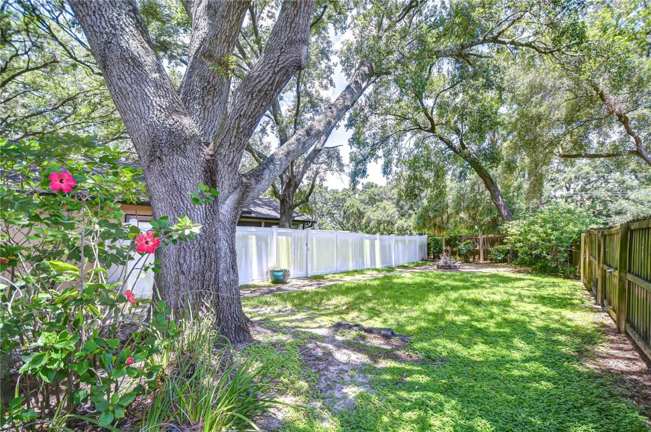 512 Pinewalk Drive, Brandon, FL 33510 Photo