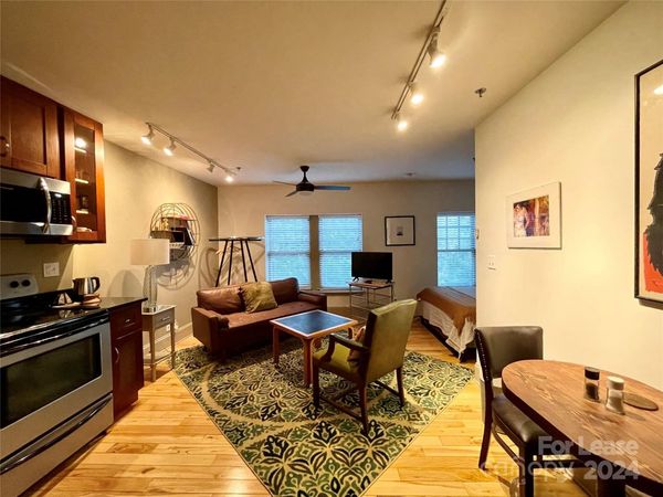 5 W Walnut Street, Unit 302, Asheville, NC 28801