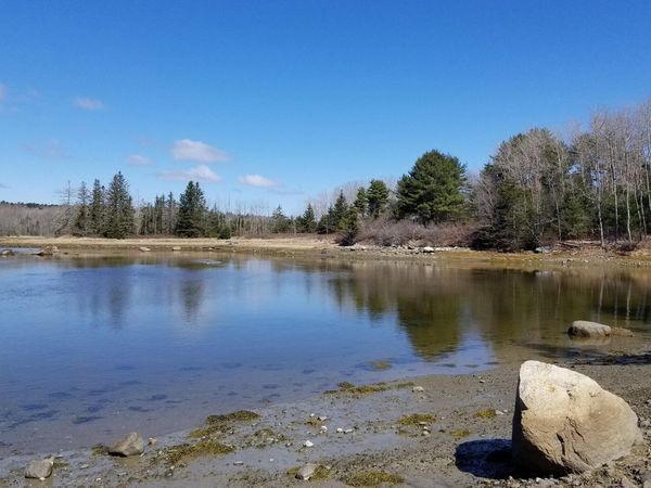 9 River Road, Unit Lot 6, Brooklin, ME 04616