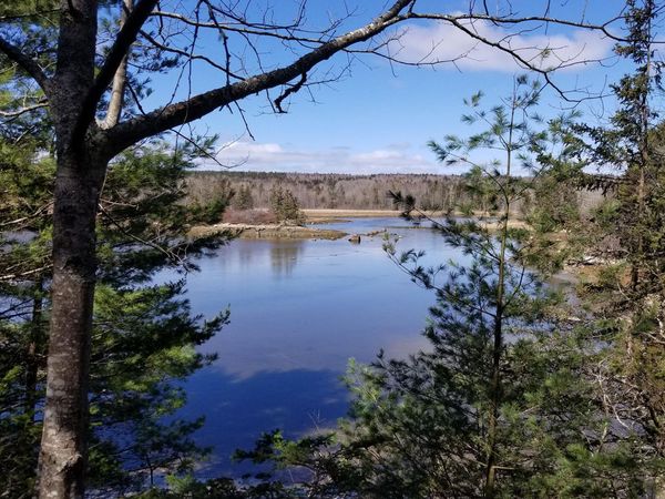 9 River Road, Unit Lot 3, Brooklin, ME 04616