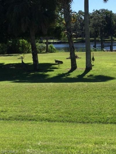 21090 Captain Nelson Ct, Alva, FL 33920 Photo