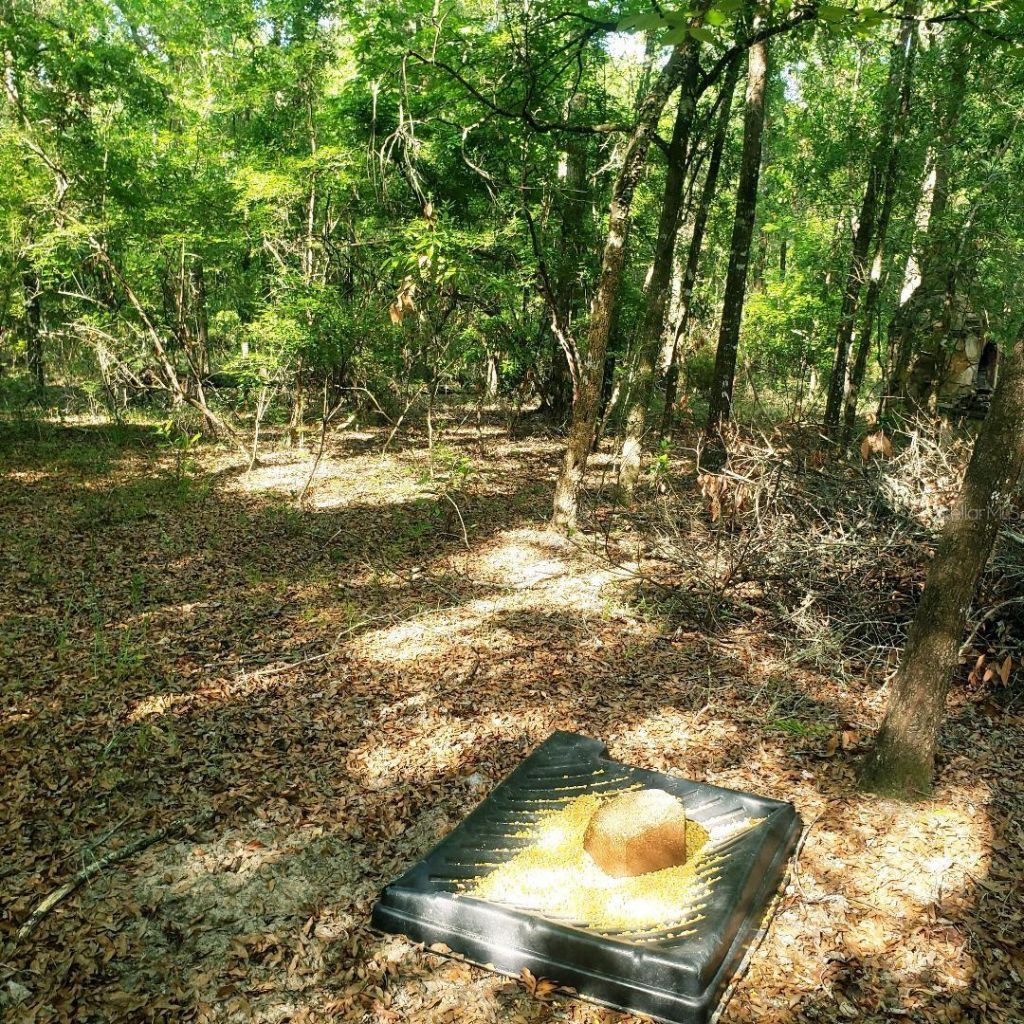 28063 31st Road, Branford, FL 32008 Photo