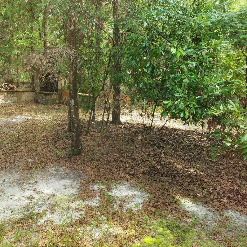 28063 31st Road, Branford, FL 32008 Photo