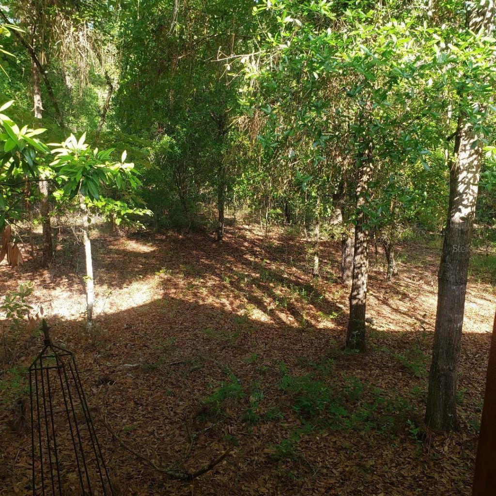 28063 31st Road, Branford, FL 32008 Photo