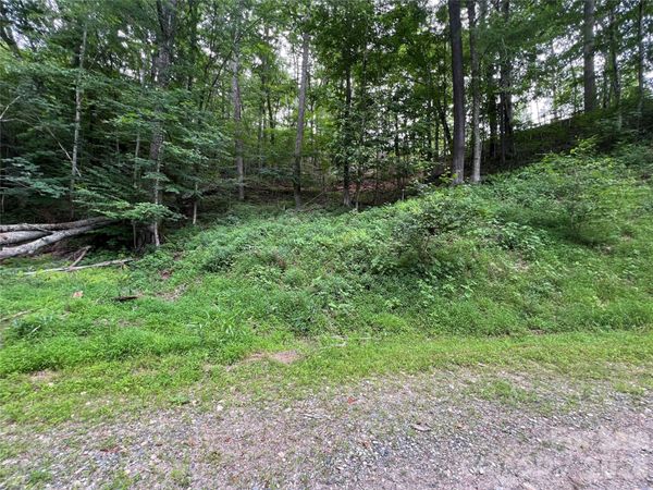 0 CHESTNUT Lane, Mars Hill, NC 28754