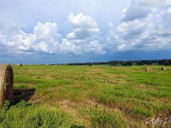 8440 GALL BOULEVARD, ZEPHYRHILLS, FL 33541