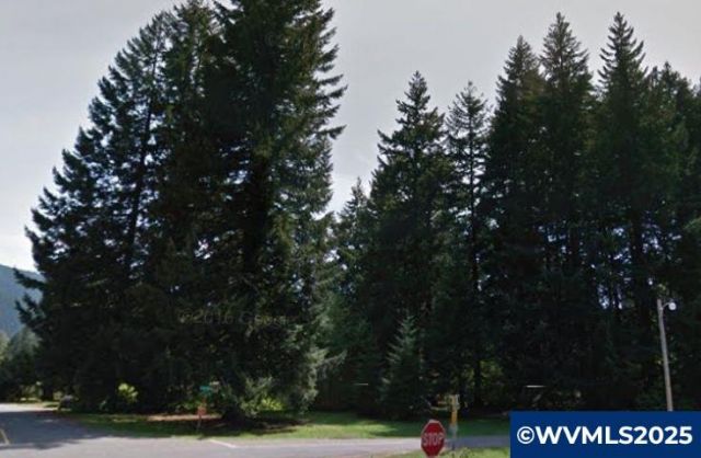 205 N Patton Rd, Detroit, OR 97342 Main Photo