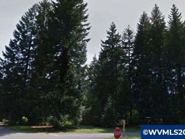 205 N Patton Rd, Detroit, OR 97342