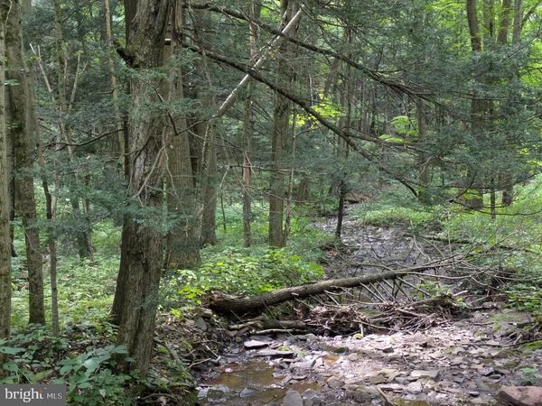 0 BERKEY HOLLOW ROAD, ALUM BANK, PA 15521